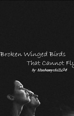 Broken Winged Birds that Cannot Fly cover