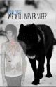 We Will Never Sleep by 20klopez