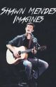 Shawn Mendes Imagines by senpaimendes