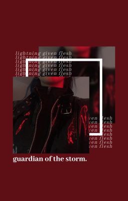 guardian of the storm | ✓ cover