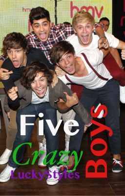 Five Crazy Boys (A One Direction FanFic) cover