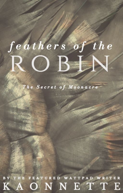 Feathers of the Robin by kaonnette