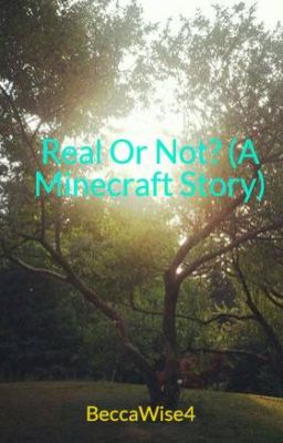 Real Or Not? (A Minecraft Story) cover