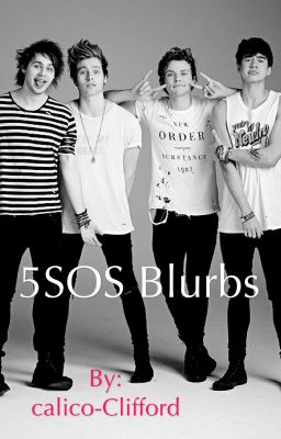 5SOS Blurbs cover