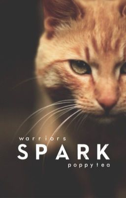 Spark { Warrior Cats Fanfiction ; Complete } cover