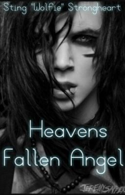 Heavens Fallen Angel [Andy Biersack x Reader] cover