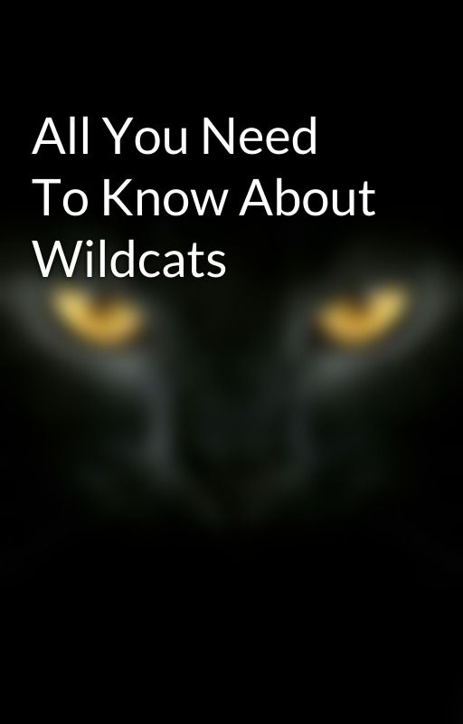 All You Need To Know About Wildcats by TheWildCat_Series