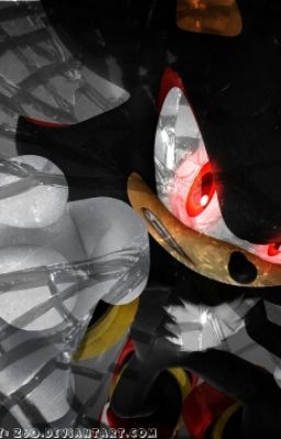 Shadow The Hedgehog x reader(The Stare of a Hedgehog) cover