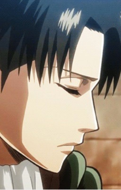 AOT Oneshots(Levi x Reader) by Sulii94