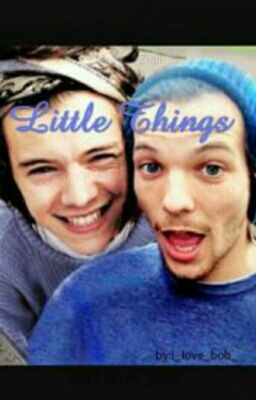 Little Things (L.S.) cover