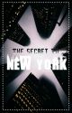 The Secret To New York (Boyxboy) by prncss_jzmn