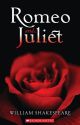 Romeo and Juliet by xJoannaxt