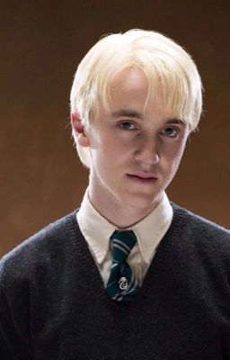 Draco Malfoy x Male Reader cover