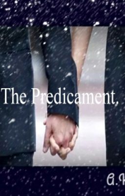 The Predicament cover