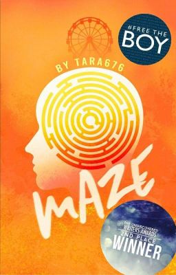 Maze cover