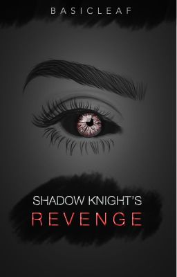 SHADOW KNIGHT'S REVENGE: A Minecraft Diaries Fan-Fiction cover