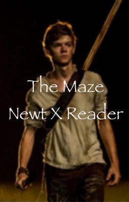 The Maze (Newt X Reader) Book 1 - complete  cover