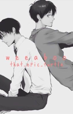 Weeaboo {Ereri} cover