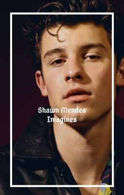 Shawn Mendes Imagines cover