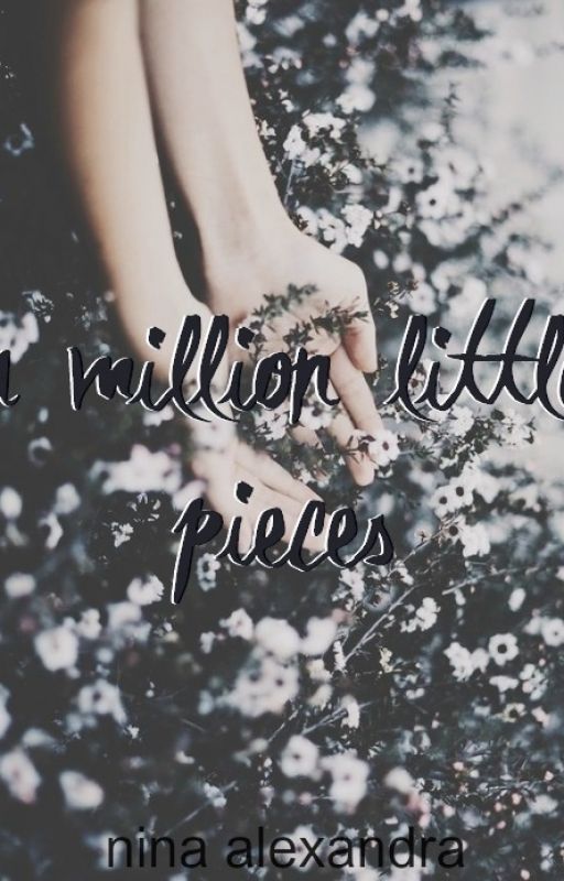 a million little pieces // fragments of my writing by directioner_donut