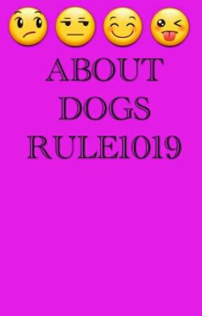 about dogs rule1019 by I_LOVE_DOGS1019