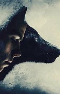 The Wolf Companion.  cover