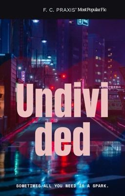 Undivided cover