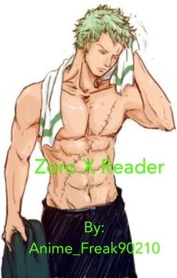 Zoro X Reader cover