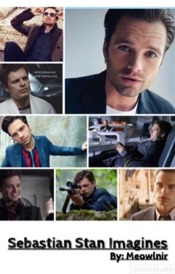 Sebastian Stan Imagines #wattys2017 cover