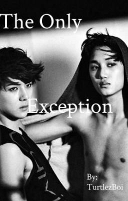 The Only Exception (SeKai) cover