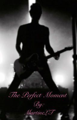 The Perfect Moment cover