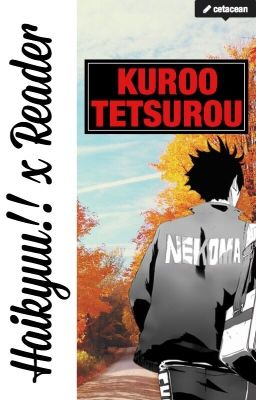 Kuroo Tetsurou x Reader {Collection of Short Stories/Drabbles} cover