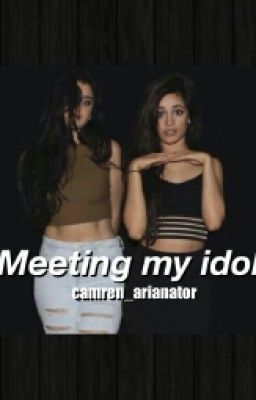 Meeting My Idol | (Camren) cover