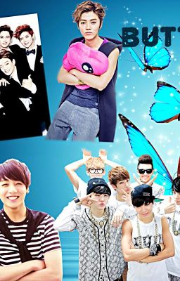 Butterfly[a BTS and EXO fanfic] cover