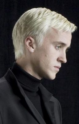 Slytherin Prince [Draco Malfoy x Reader] cover