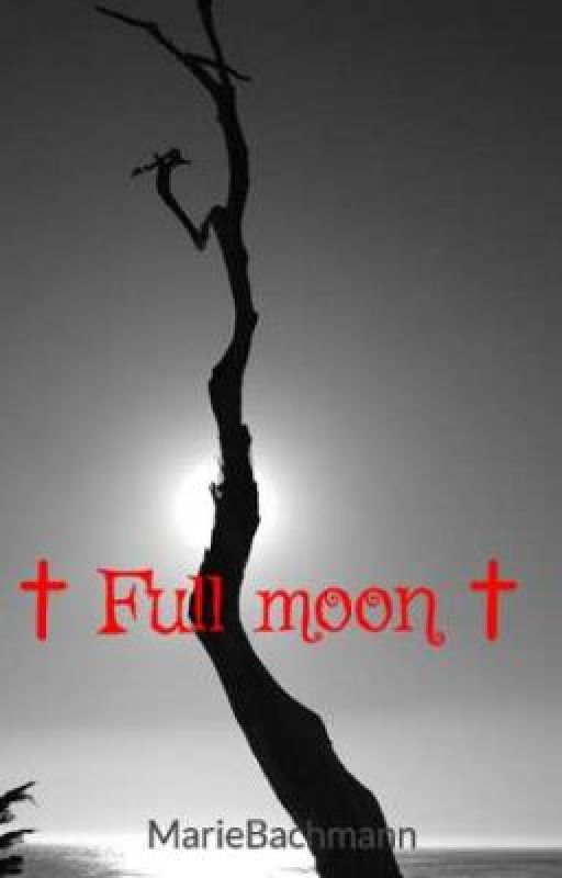 † Full moon † by Oister