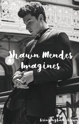 Shawn Mendes Imagines cover