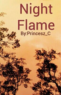 Night Flame cover