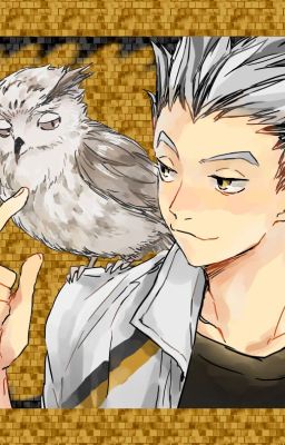 Teach Me How To Fly (A Koutaro Bokuto Story) cover