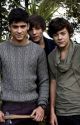 Summer Love - One Direction Fan Fiction by onedirectionxox99