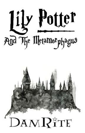 Lily Potter And The Metamorphagus by DamRite