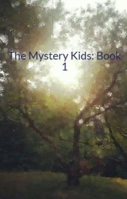 The Mystery Kids: Book 1 cover