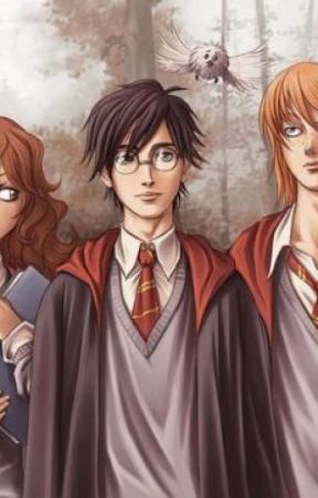 Tome 2: Lily Potter et la malédiction des survivants.  by Angescarlet