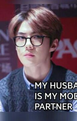 My Husband Is My Model Partner!?[HUNFANY FT. ExoShidae] cover