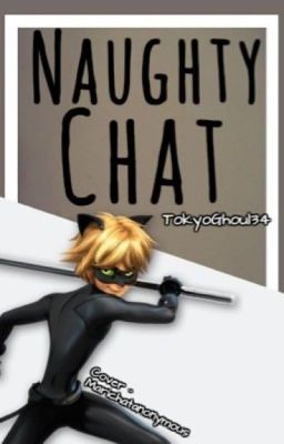 Naughty Chat 'Chat Noir x reader' cover