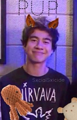 Puppy (cashton) cover