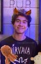 Puppy (cashton) by SxcialSxicide