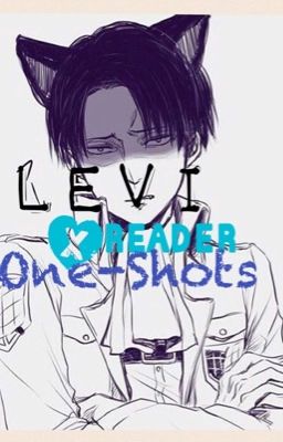 ~LevixReader~ One-Shots cover