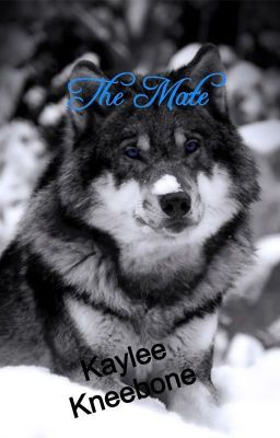 The Mate (sorry the first three chapters got deleted) cover