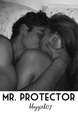 MR. PROTECTOR cover